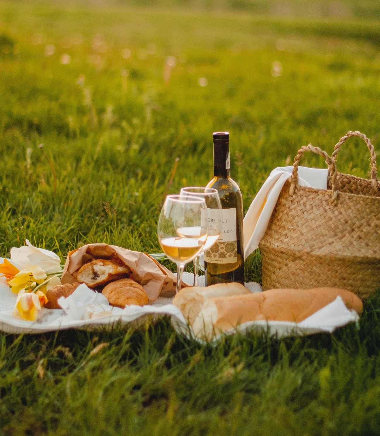 Yorkshire's Perfect Picnic Spots Living North